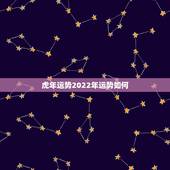 虎年运势2022年运势如何，属虎人2022年每月运势