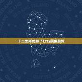 十二生肖的孩子什么属相最好，生肖属鼠的和什么样的属相的孩子最好