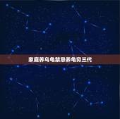 家庭养乌龟禁忌养龟穷三代 家庭养乌龟的忌讳