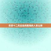 农历十二月出生的属兔的人怎么样，属兔12月出生的命运