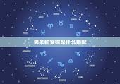男羊和女狗是什么婚配，男的属羊和女的属狗生个什么属相最好？