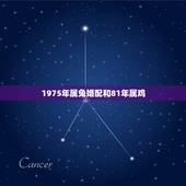 1975年属兔婚配和81年属鸡，1975年属兔男和1981属鸡女相配吗