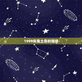 1999年兔土命的姻缘，1999年属兔人城头土命