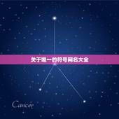 关于唯一的符号网名大全，唯一带符号网名