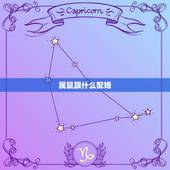 属鼠跟什么配婚，属鼠的女找个属啥的好