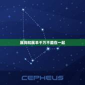 属狗和属羊千万不能在一起，91属羊和94属狗生什么宝宝好