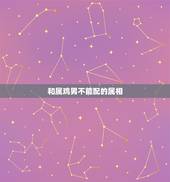 和属鸡男不能配的属相，属鸡男和什么属相最配？
