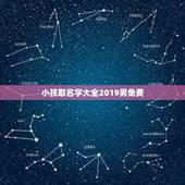 小孩取名字大全2019男免费，给小孩取名带金的 (起名字大全男孩免费)
