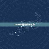 2000年属龙的什么命，2000年属龙的白蜡金命