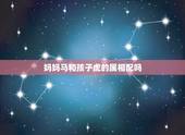 妈妈马和孩子虎的属相配吗，父母属马与子女属虎相配吗