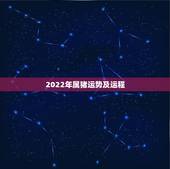 2022年属猪运势及运程，2022年12生肖运势解析