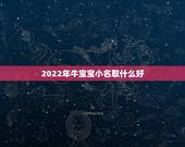 2022年牛宝宝小名取什么好，2022虎宝宝小名乳名