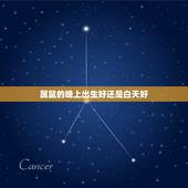 属鼠的晚上出生好还是白天好，属鼠的几点出生最好