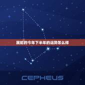 属蛇的今年下半年的运势怎么样，属蛇人今年运气怎么样？