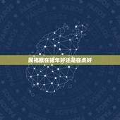 属相猴在猪年好还是在虎好，关于生肖，老虎和猴子还是和马关系好？