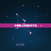 中等偏上的婚配好不好，什么叫中等婚配，上等婚配