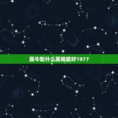 属牛配什么属相最好1977，属牛和什么属相最相配 详细