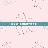 属兔和什么属相能合作生意，2016年属兔人的生意合作伙伴属相什么好