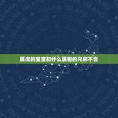 属虎的宝宝和什么属相的兄弟不合，属虎和什么属相不配