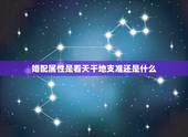 婚配属性是看天干地支准还是什么，属相婚配和五行婚配那个更准一点？请懂行