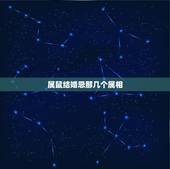 属鼠结婚忌那几个属相，属鼠与属龙结婚忌生肖