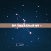 男鸡女猪宝宝属什么属相好，男属鸡女属猪生个什么属相的孩子最好？