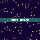 马和狗在一起对谁不利，1990男马1994女婚姻