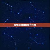 属兔和狗鼠属相合不合，属狗和属兔合吗？