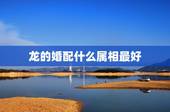 龙的婚配什么属相最好，属相婚配女的属龙和什么属相最好