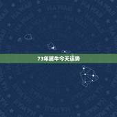 73年属牛今天运势，73年属牛今天打麻将财运好吗