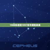 1988年龙和1997年牛婚配命表，1997女牛和1988男龙配吗
