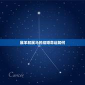 属羊和属马的结婚命运如何，属羊和属马是什么命