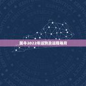 属牛2022年运势及运程每月，求属牛13年下半年的运势