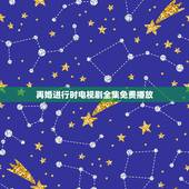 再婚进行时电视剧全集免费播放，《再婚进行时》大结局是怎样的