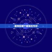 属狗和哪个属相合作好，属狗的人明年和什么属相的合作最好