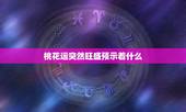 桃花运突然旺盛预示着什么，人快有桃花运的征兆