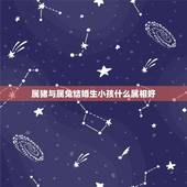 属猪与属兔结婚生小孩什么属相好，属猪和属兔可以生什么属相的孩子
