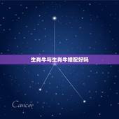 生肖牛与生肖牛婚配好吗，属牛的和属牛的配吗？