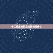 十二星座的真正的属相是什么，十二星座、生肖是什么？
