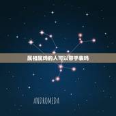 属相属鸡的人可以带手表吗，69年属鸡的男人戴什么形状的手表好？