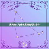 属狗的人与什么属相的可以合作，属狗的人与什么属相合作好