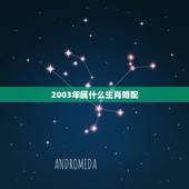 2003年属什么生肖婚配，01年和03年的生肖婚配
