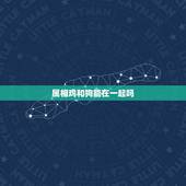 属相鸡和狗能在一起吗，鸡和狗能生活在一起吗婚姻运气财运健康