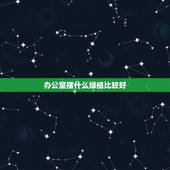 办公室摆什么绿植比较好，办公室里放什么绿植更能净化空气？