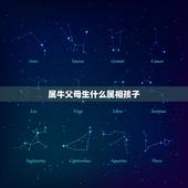 属牛父母生什么属相孩子，属牛父母生什么属相宝宝