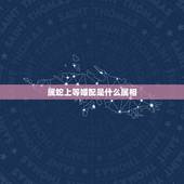 属蛇上等婚配是什么属相，属蛇的最佳婚配是啥属相？