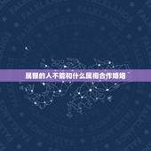 属猴的人不能和什么属相合作婚姻，属猴与什么属相相克