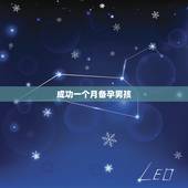 成功一个月备孕男孩，如何备孕调理身体生男孩子？