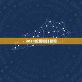 2021蛇属相打官司，83年属猪的和什么属相最配