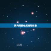 属狗男更佳属相婚配表，属狗的找对象
